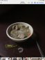  Cooking in the Dark 